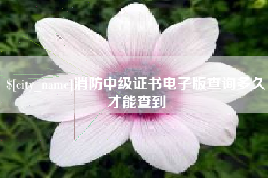 滁州消防中级证书电子版查询多久才能查到