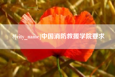 滁州中国消防救援学院要求