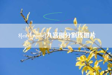 滁州九宫图分割线图片