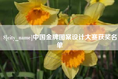 滁州中国金牌图案设计大赛获奖名单