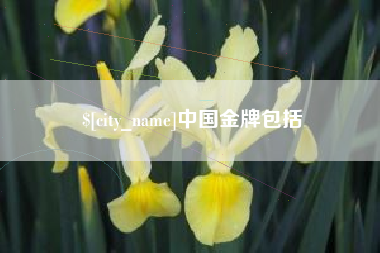 滁州中国金牌包括