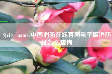 滁州中国消防在线官网电子版消防证怎么查询