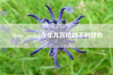 滁州今年九宫格的不利颜色