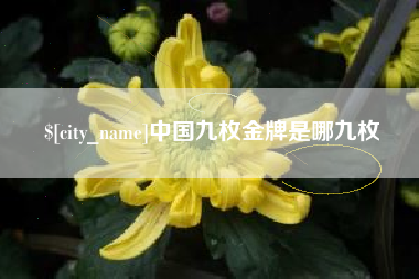 滁州中国九枚金牌是哪九枚