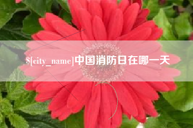 滁州中国消防日在哪一天