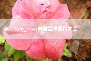 滁州中国金牌图片大全