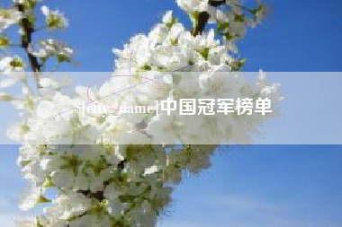 滁州中国冠军榜单