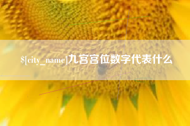 滁州九宫宫位数字代表什么