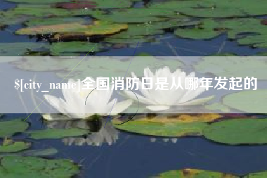 滁州全国消防日是从哪年发起的
