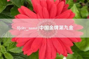 滁州中国金牌第九金