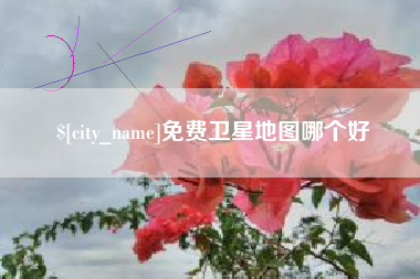 滁州免费卫星地图哪个好