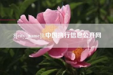 滁州1.中国执行信息公开网