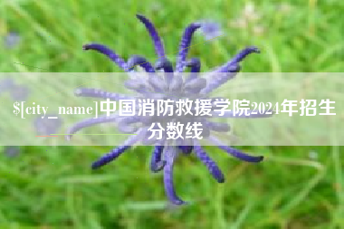滁州中国消防救援学院2024年招生分数线