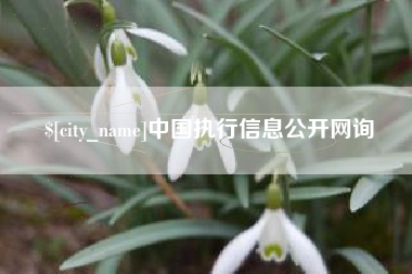 滁州中国执行信息公开网询