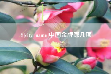 滁州中国金牌哪几项
