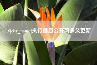 滁州执行信息公开网多久更新