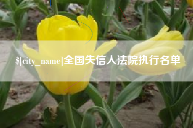滁州全国失信人法院执行名单