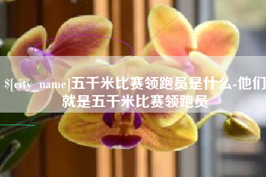 滁州五千米比赛领跑员是什么-他们就是五千米比赛领跑员