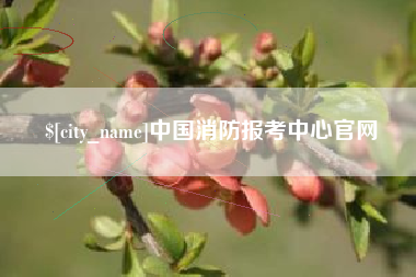 滁州中国消防报考中心官网