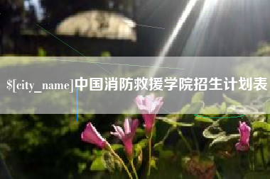 滁州中国消防救援学院招生计划表