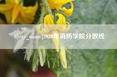 滁州2020年消防学院分数线