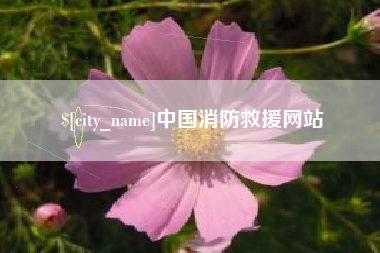 滁州中国消防救援网站