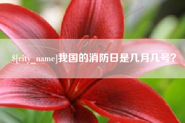 滁州我国的消防日是几月几号？