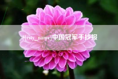 滁州中国冠军手抄报
