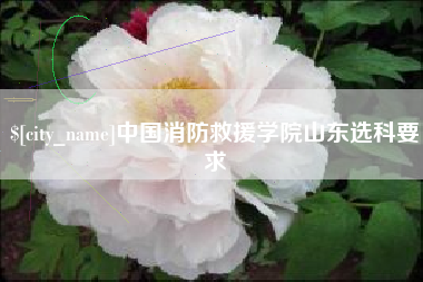 滁州中国消防救援学院山东选科要求
