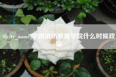 滁州中国消防救援学院什么时候政审