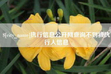 滁州执行信息公开网查询不到被执行人信息