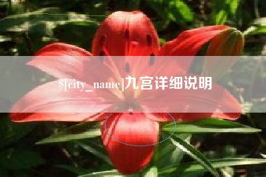 滁州九宫详细说明