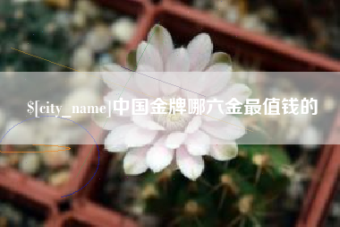 滁州中国金牌哪六金最值钱的