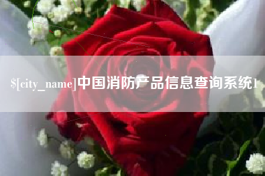 滁州中国消防产品信息查询系统1