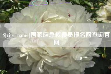 滁州国家应急救援员报名网查询官网
