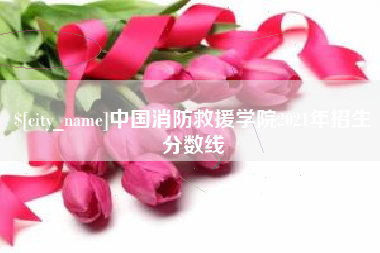 滁州中国消防救援学院2021年招生分数线