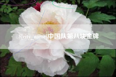 滁州中国队第八块金牌