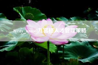 滁州九宫格人才管理策略