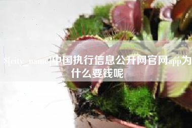 滁州中国执行信息公开网官网app为什么要钱呢