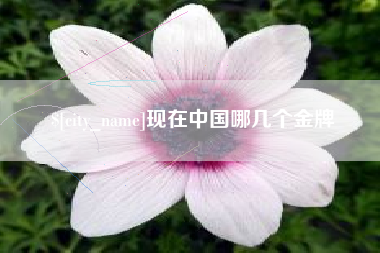 滁州现在中国哪几个金牌