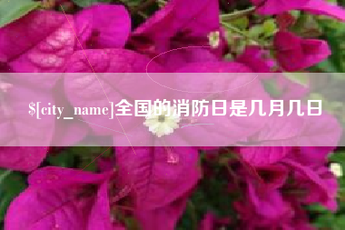 滁州全国的消防日是几月几日