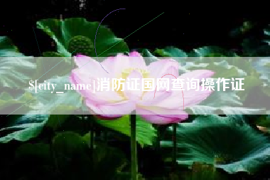 滁州消防证国网查询操作证