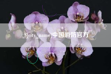 滁州中国消防官方