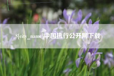 滁州中国执行公开网下载