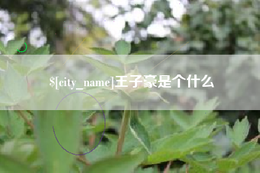 滁州王子豪是个什么