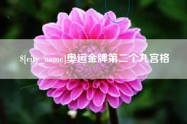 滁州奥运金牌第二个九宫格