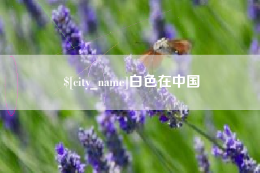 滁州白色在中国