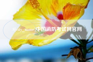 滁州中国消防考试网官网