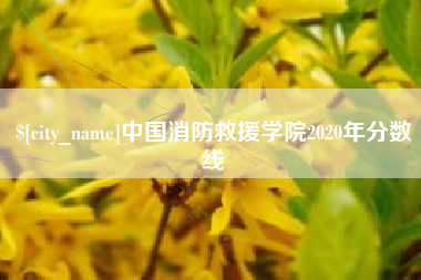 滁州中国消防救援学院2020年分数线