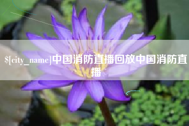 滁州中国消防直播回放中国消防直播